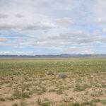 ETAP-5 RCPからの風景