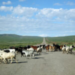 なかなかどいてくれない