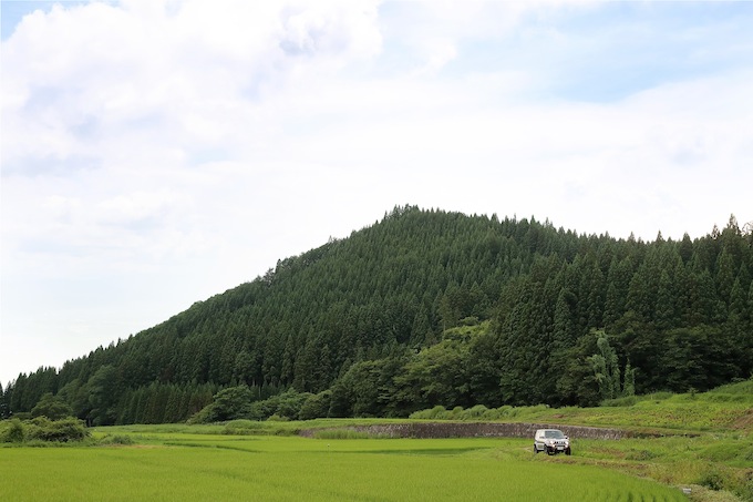 サムネイル画像